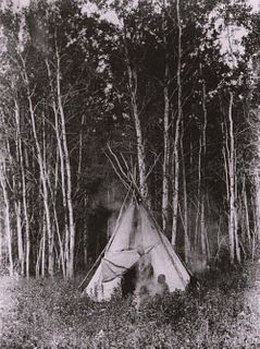 Edward S. Curtis - Camp Among the Aspens- Chipewyan