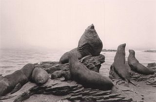 HIROSHI SUGIMOTO, Stellar Sea Lion, 1994