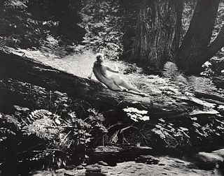 Wynn Bullock, Untitled, 1950's