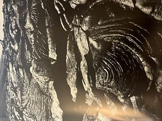 Ansel Adams "Mauna Loa" Print.