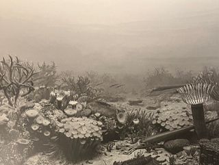 Hiroshi Sugimoto "Devonian Period" Print.