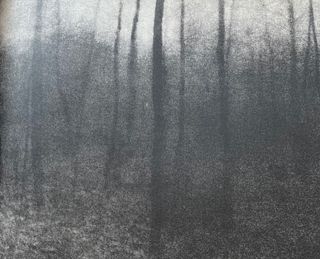 Edward Steichen "Woods - Twilight. Milawukee. 1899" Print.