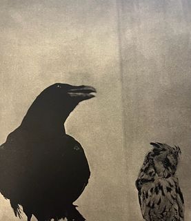 Jim Dine "Black and Owl, 2000" Print.