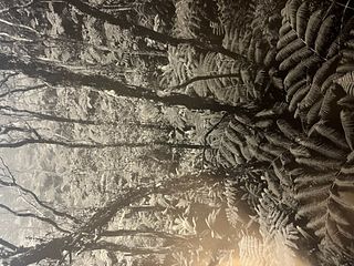 Ansel Adams "Hawaii National Park" Print.