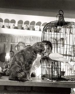 Robert Doisneau "Chilld, Cat and Dove" Print