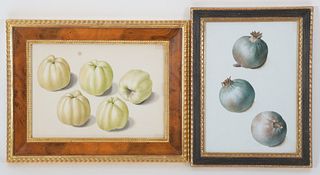 Franz Blaschek, Watercolor Study of Fruit