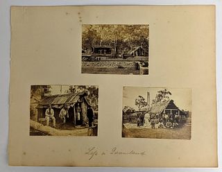 Life in Queensland [3 Photographs, c. 1870]