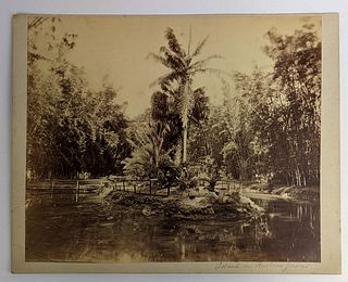 Photograph of Island in Brisbane Gardens