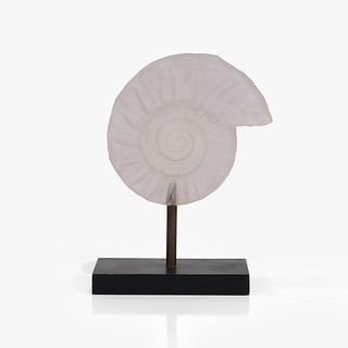 Resin Nautilus Sculpture