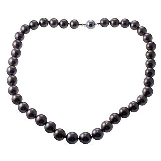 18k Gold Tahitian Pearl Necklace
