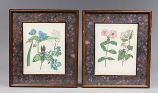 Group of Two Offset Lithographs, Edwards Botanicals