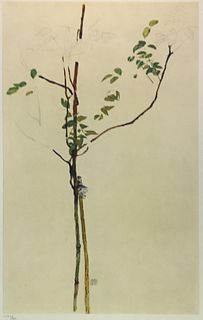Egon Schiele (After) - Young Tree