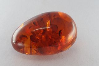 Natural amber egg shape ornament