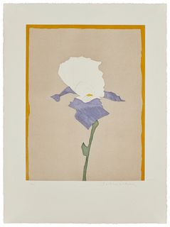 Fritz Scholder (1937-2005), "Flower at Giverny," Etching on paper, Plate: 21.25" H x 16.25" W; Sheet: 30" H x 22" W