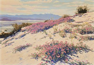 Stephen H. Willard (1894-1966), Blooming desert, Photograph with hand-painting on canvasboard, 15" H x 21.5" W
