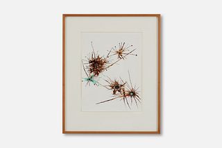 Jess von der Ahe, Untitled (Urchins) 