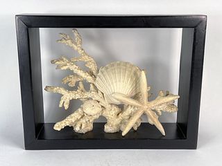 SEA LIFE SCULPTURE IN SHADOWBOX
