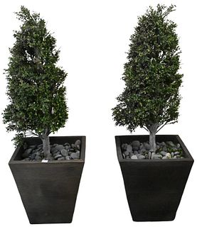 Pair of Outdoor Planters