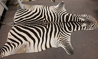 Vintage Zebra Skin Taxidermy Area Rug