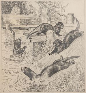 Lynn Bogue Hunt Wildlife Drawing, Otters