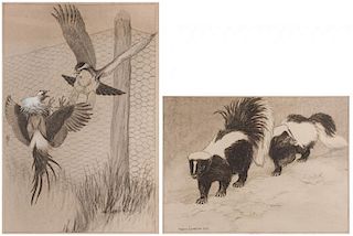 2 Chas. L. Bull illustrations, skunks and hawk