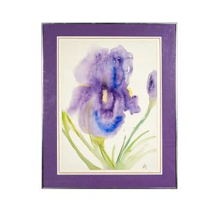 Framed Watercolor Painting, The Essensual Iris