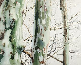 Charles Pitcher Sycamores Watercolor