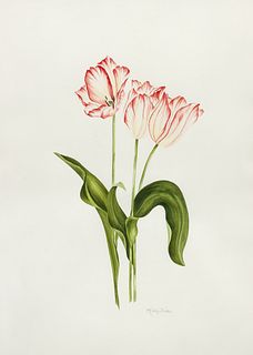 Kathryn Watkins Watercolor on Paper Tulips 