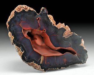 Rare Red Fox / Crater Agate & Hematite Geode Half