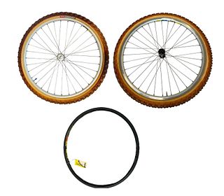 Two MAVIC Bicycle Racing Wheels & MAVIC RIM