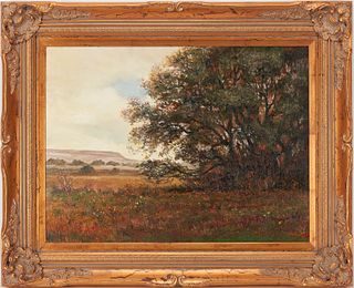 Jerry Malzahn O/C Texas Landscape Painting, Tree in a Meadow