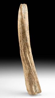 Stone Age Mesolithic European Deer Antler Tine Tool