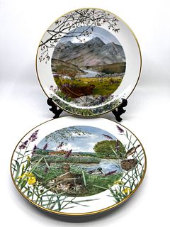 Two Royal Worcester Limited Edition Collector plates by Peter Barett