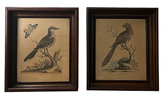 Pair Of Wood Framed Bird Prints