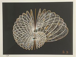 Agnes Denes - Snail Butterfly Crochet