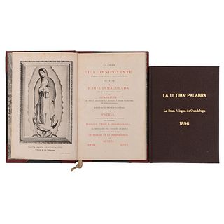 García Icazbalceta, J. / Bustos, J. M. Carta del origen de la imagen de N. S. de Guadalupe / Honor a María Inmaculada... Piezas: 2.