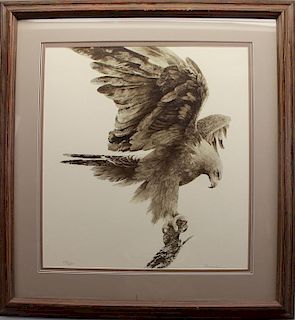 20th C. Signed Lithograph of a Bald Eagle