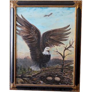 C.E. Jones Jr. American Bald Eagle in Landscape