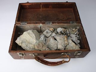 COLLECTING BOX OF PYRITE 