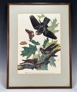 AUDUBON 1964 WHIPPOORWILL BIRD AND BOTANICAL PRINT 