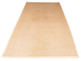 Modern Minimalist Sisal Carpet, 14' x 10'