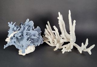 Two Large Vintage Fossilized Pieces of Tropical Coral