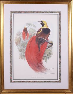Bird of Paradise Print After Mintern Brothers