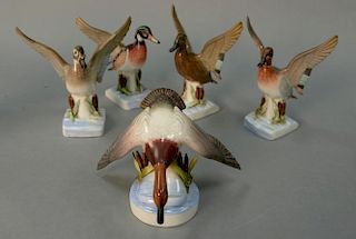 Group of five Boehm ducks and geese mallards (one as is). ht. 4in. to 5in.