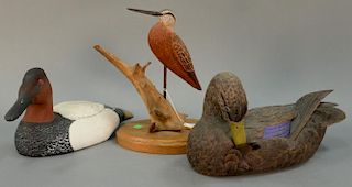 Three piece lot including shorebird decoy on stand (ht. 12in.) two Contemporary decoys including J. Gauthier #72 and Steve Be