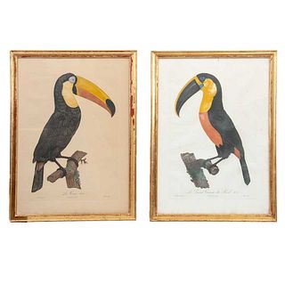 JACQUES BARRAND (Francia, 1767 - Francia, 1809), a) Le grand toucan du Brésil b) Le Coco, Firmados en placa Grabados a la punta seca...