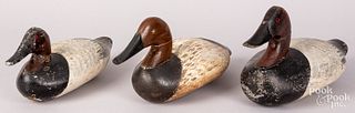 Three carved and painted canvasback duck decoys