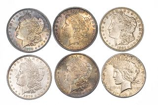 Group of 5 Morgan and 1 Peace Silver Dollars