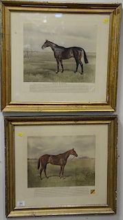 Pair of colored horse prints after Franklin Brooke Voss including "Billy Barton" ss 14" x 16" and "Exterminator" ss 13 1/2" x