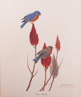 William Zimmerman Signed "Eastern Bluebird" Print